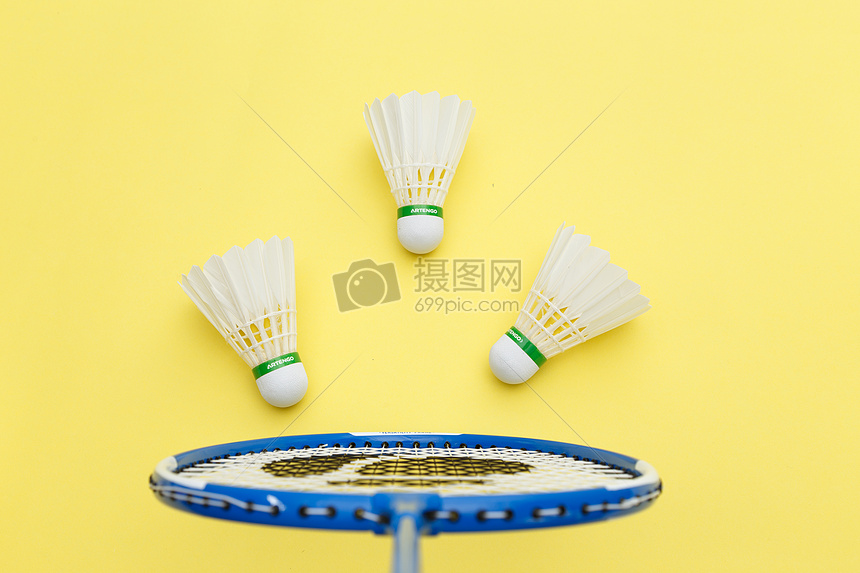 术灵活性著 术灵活性著